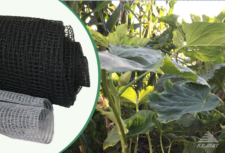 Insect Proof Net Successful Mat, AntiInsect Mesh Supplier